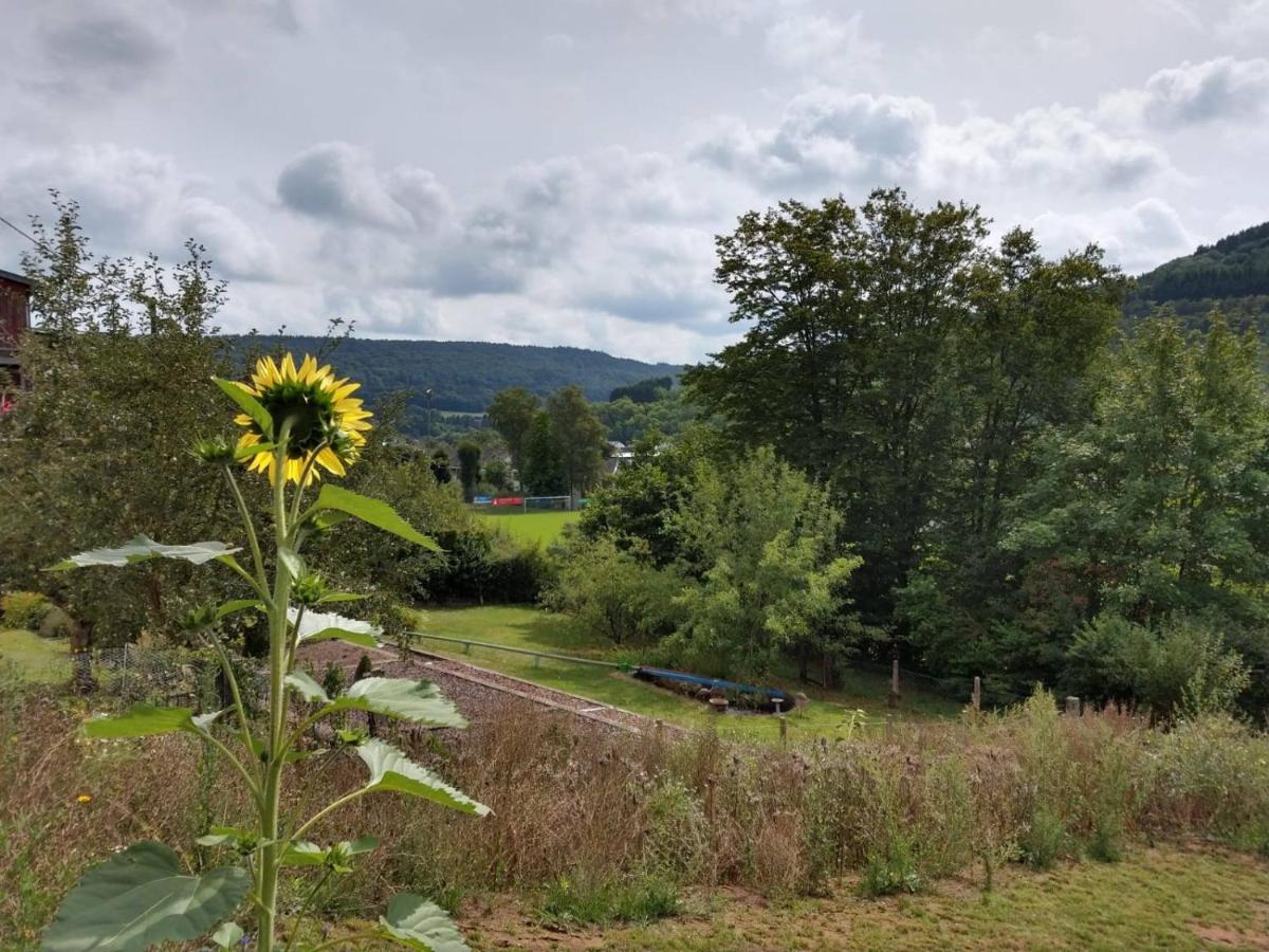 Ferienhaus Fraeulein Frenz Bollendorf Exteriör bild