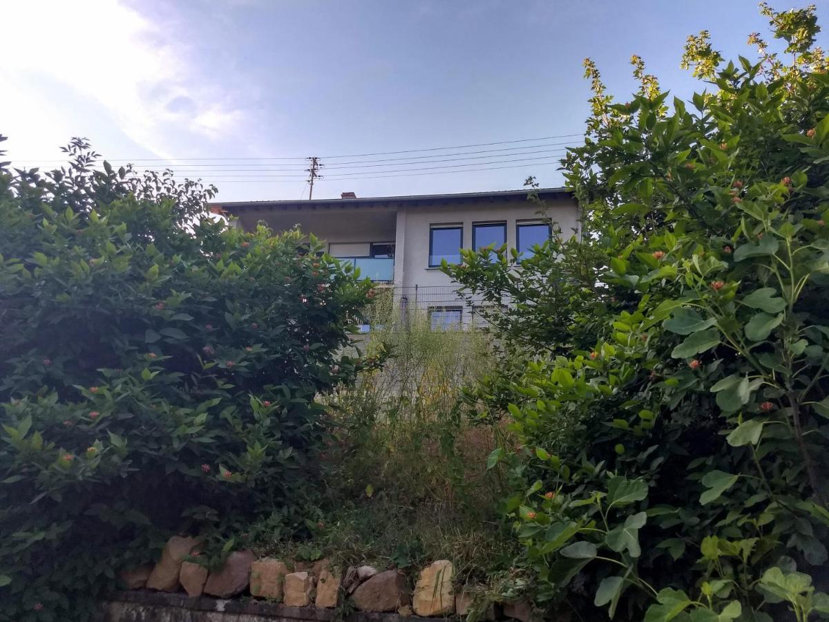 Ferienhaus Fraeulein Frenz Bollendorf Exteriör bild