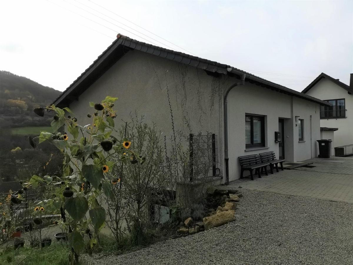 Ferienhaus Fraeulein Frenz Bollendorf Exteriör bild