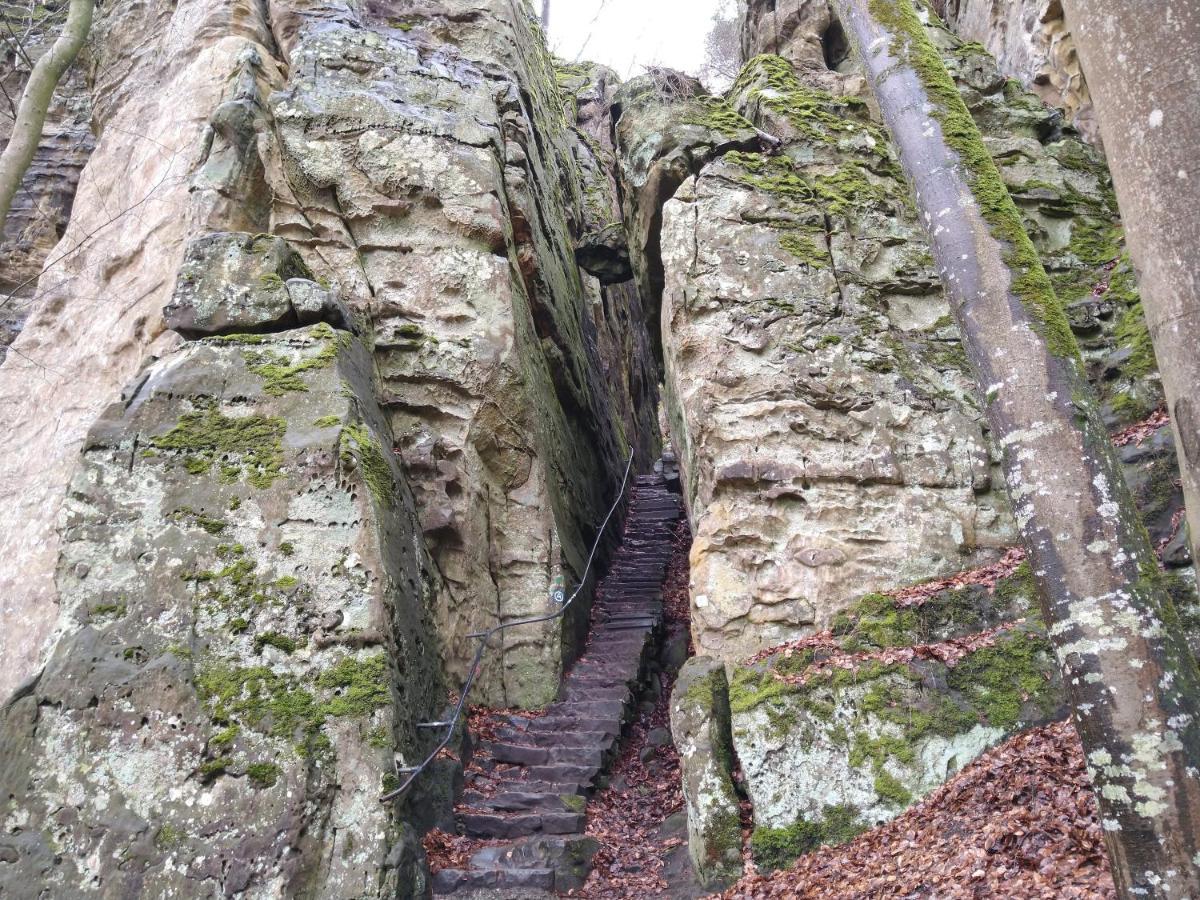 Ferienhaus Fraeulein Frenz Bollendorf Exteriör bild
