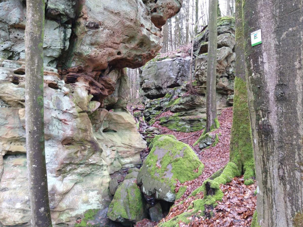 Ferienhaus Fraeulein Frenz Bollendorf Exteriör bild