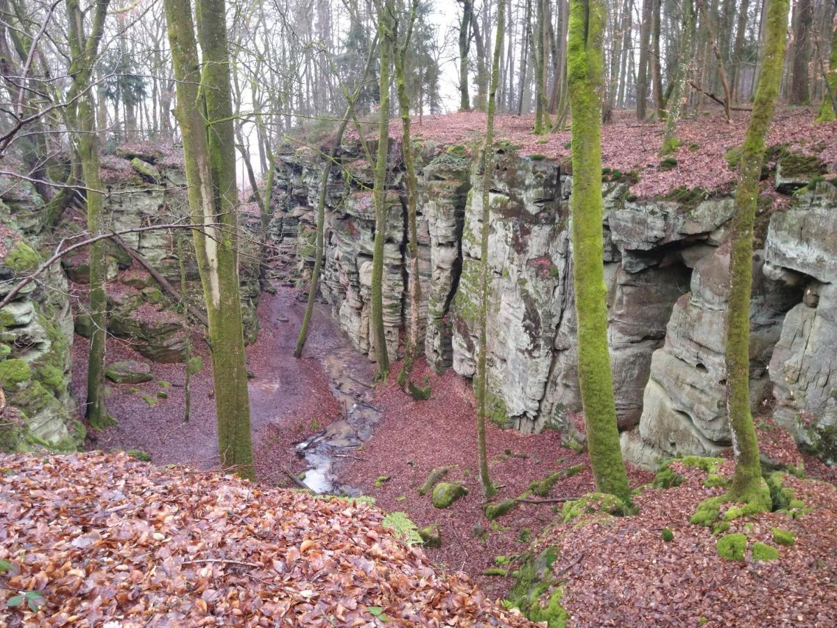 Ferienhaus Fraeulein Frenz Bollendorf Exteriör bild