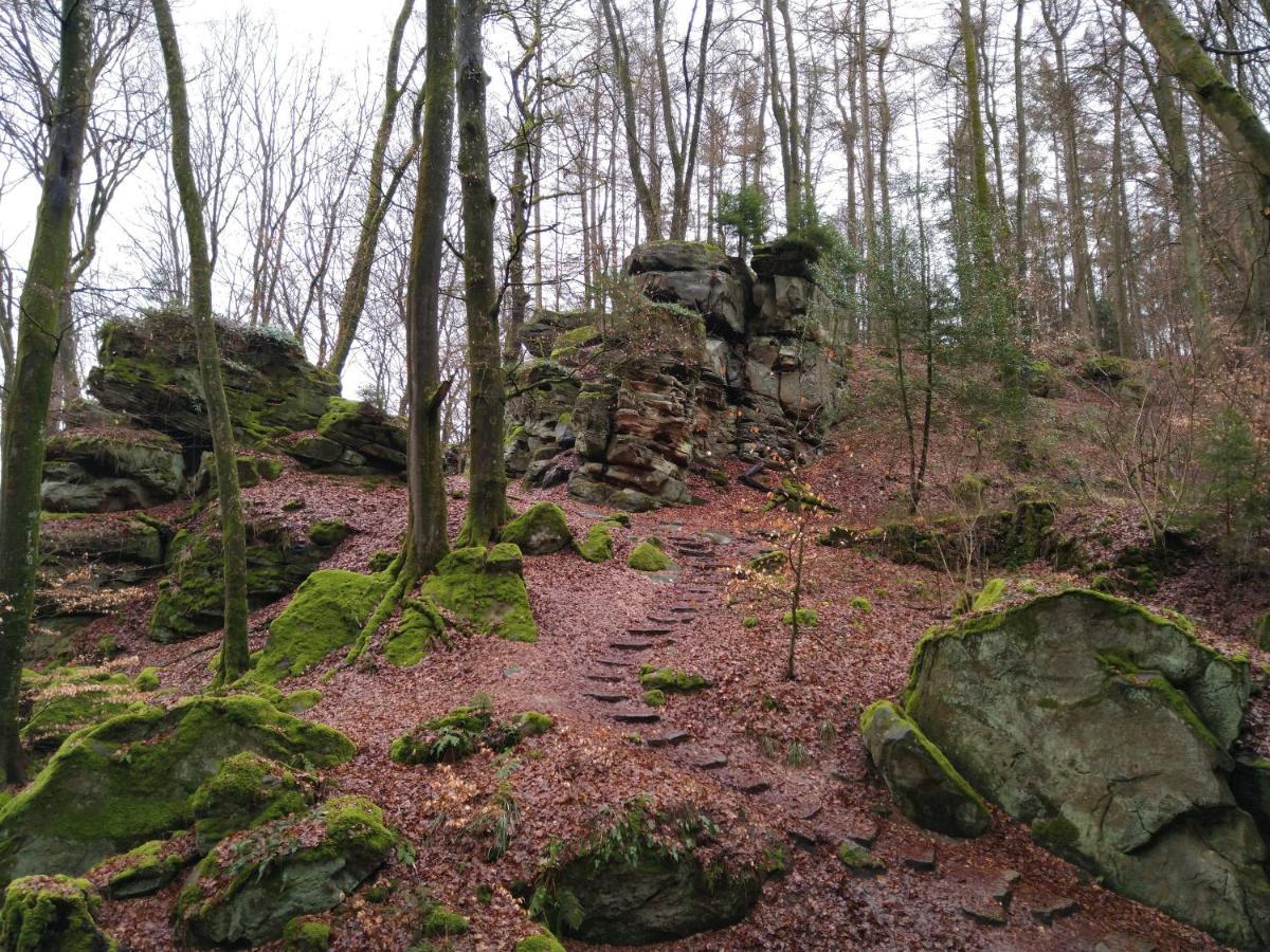 Ferienhaus Fraeulein Frenz Bollendorf Exteriör bild