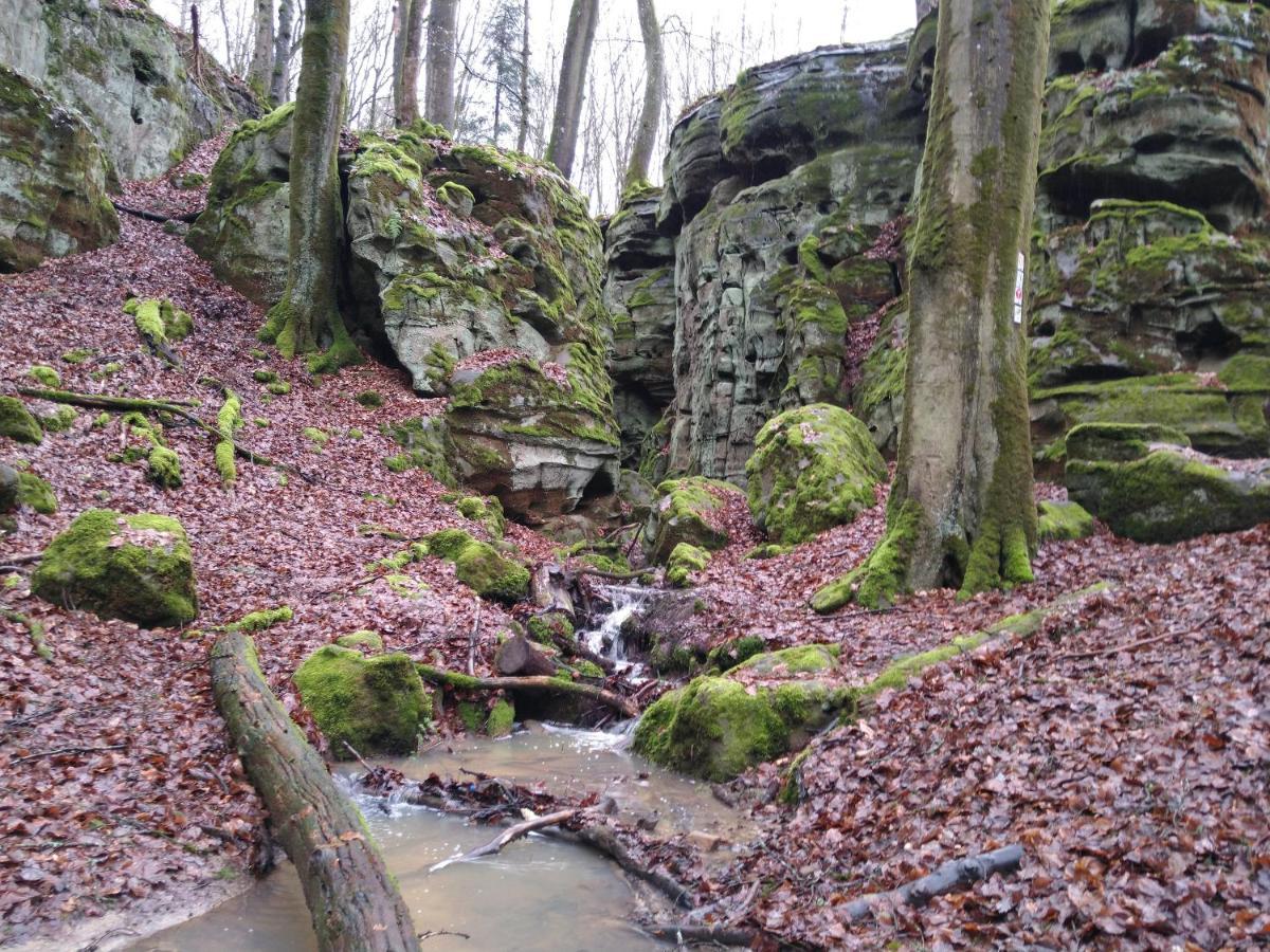 Ferienhaus Fraeulein Frenz Bollendorf Exteriör bild
