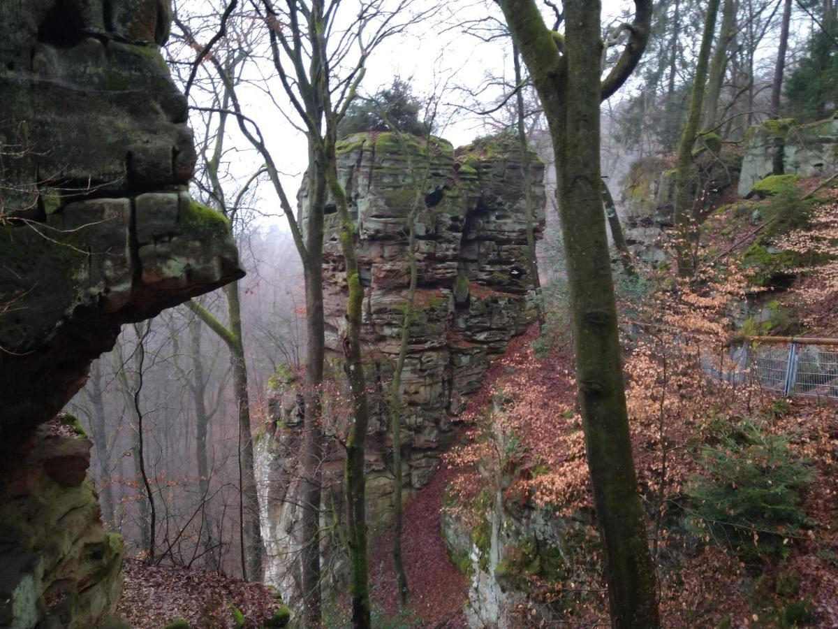 Ferienhaus Fraeulein Frenz Bollendorf Exteriör bild