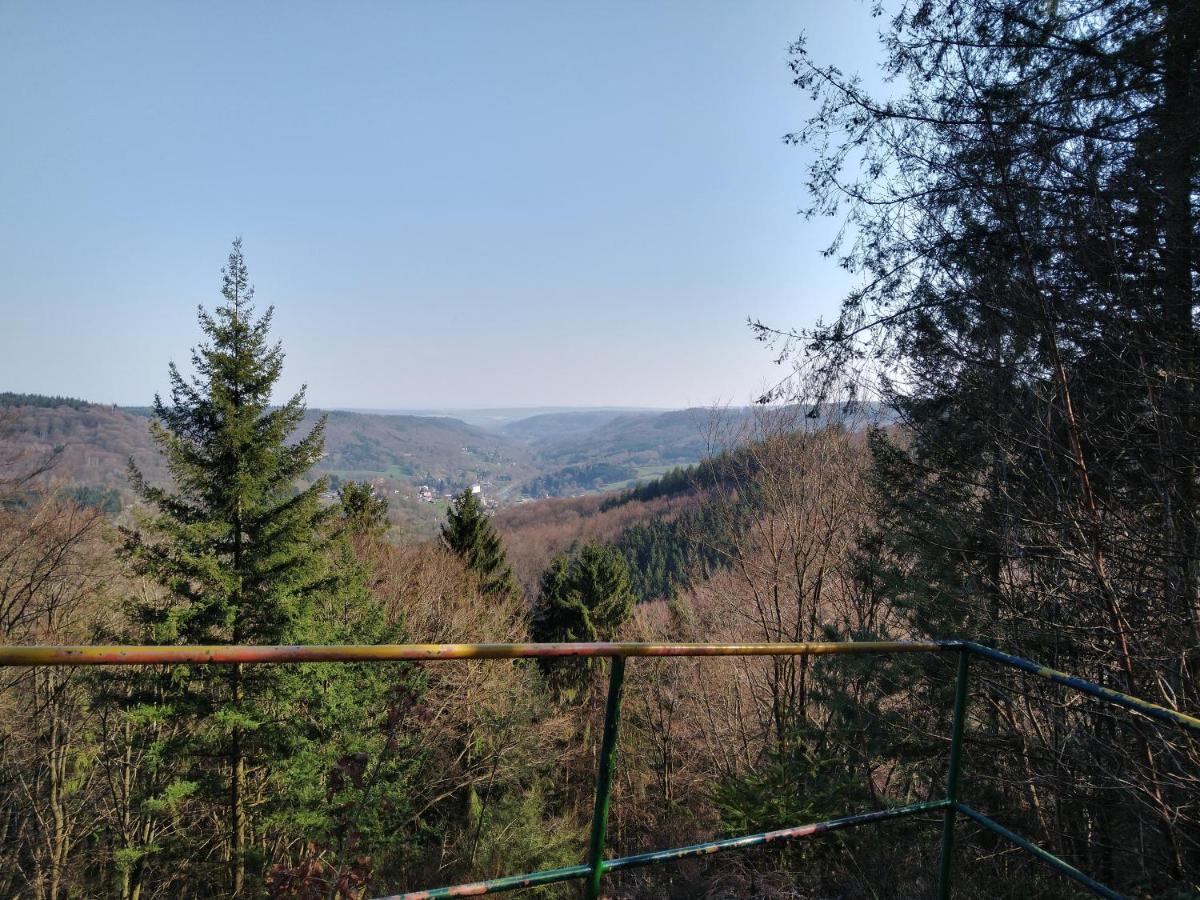 Ferienhaus Fraeulein Frenz Bollendorf Exteriör bild